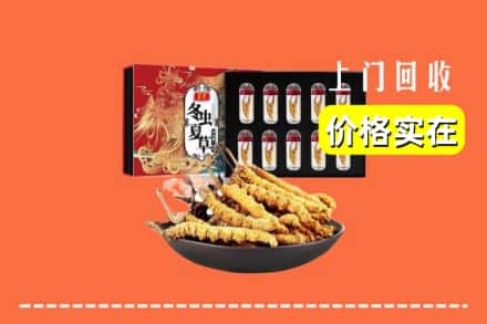 凉山冕宁县回收虫草